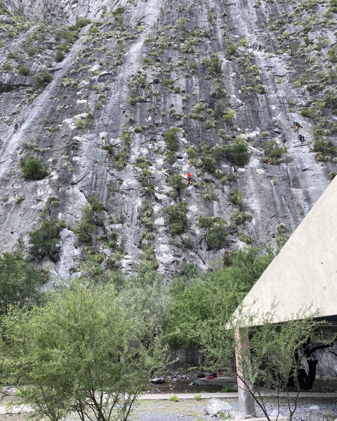 Jungle Wall El Potrero Chico Guided Multi-Pitch Sport Climbing